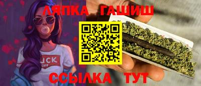 крисы Новодвинск