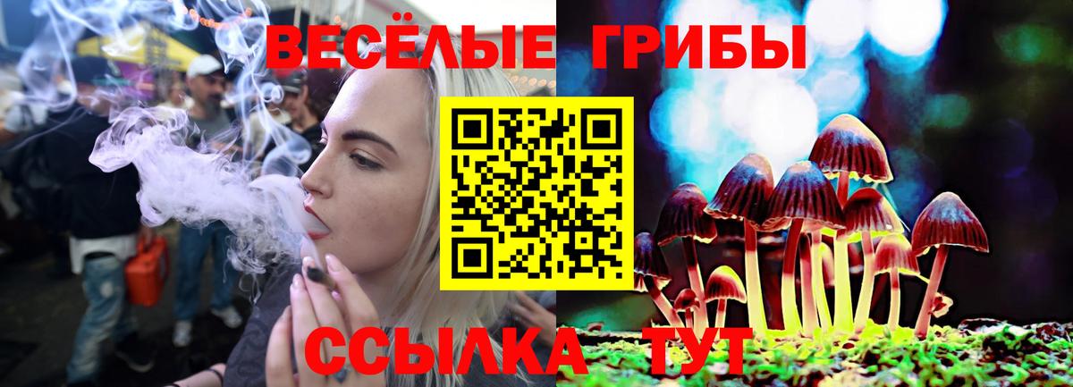 Псилоцибиновые грибы Cubensis Великий Новгород